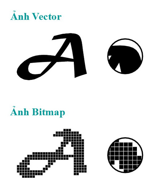 Sự khác biệt giữa vector và bitmap.